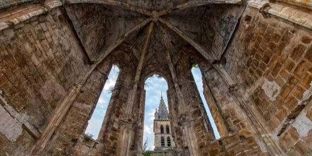 Abbaye Alet Les Bains 2017.14.02 ©alain François (24)