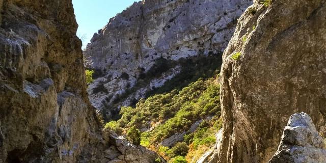 Instagram #gorgesdegalamus