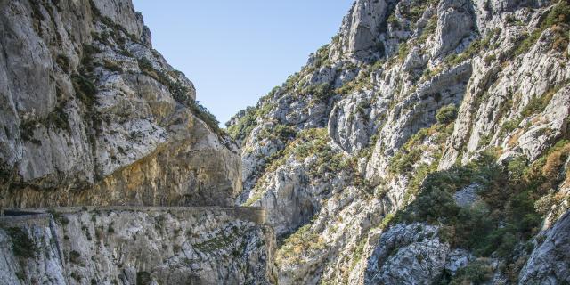 Gorges De Galamus