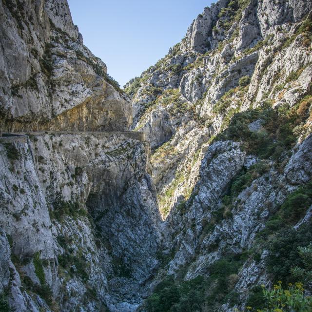 Gorges De Galamus