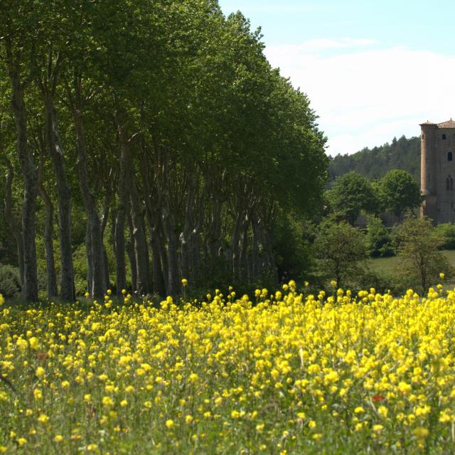 Château D'arques Paysage