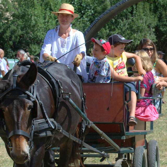 Foire De Missègre