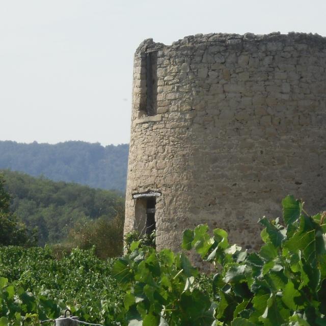 Moulin Villelongue d'Aude