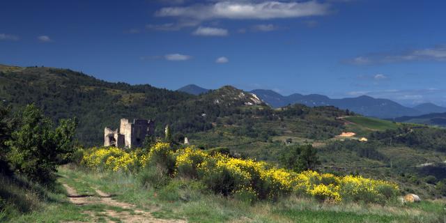 Château Paysage Coustaussa