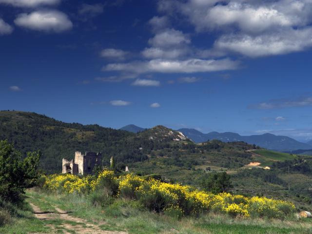 Château Paysage Coustaussa