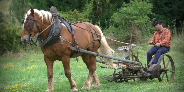 Fête D'antan