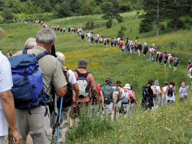 Marche Du Sel