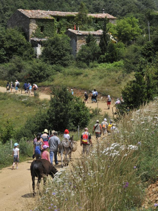 Marche du Sel