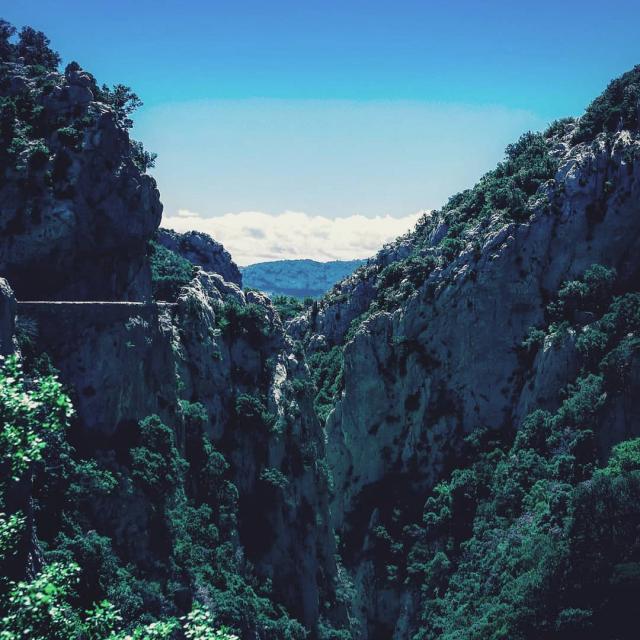 Instagram #gorgesdegalamus