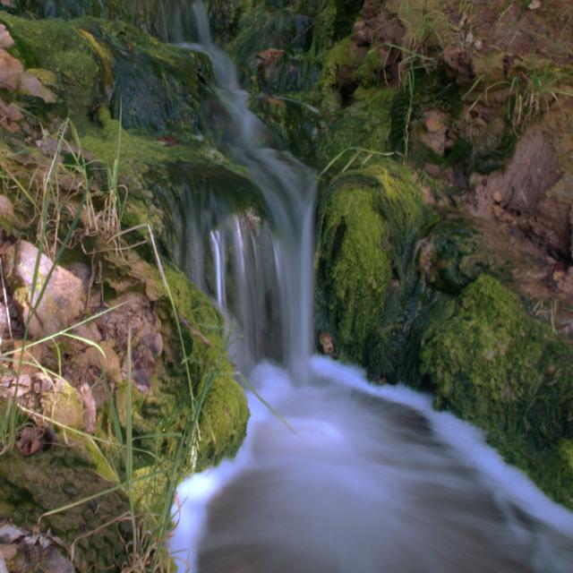 Domaine de l'Eau Salée