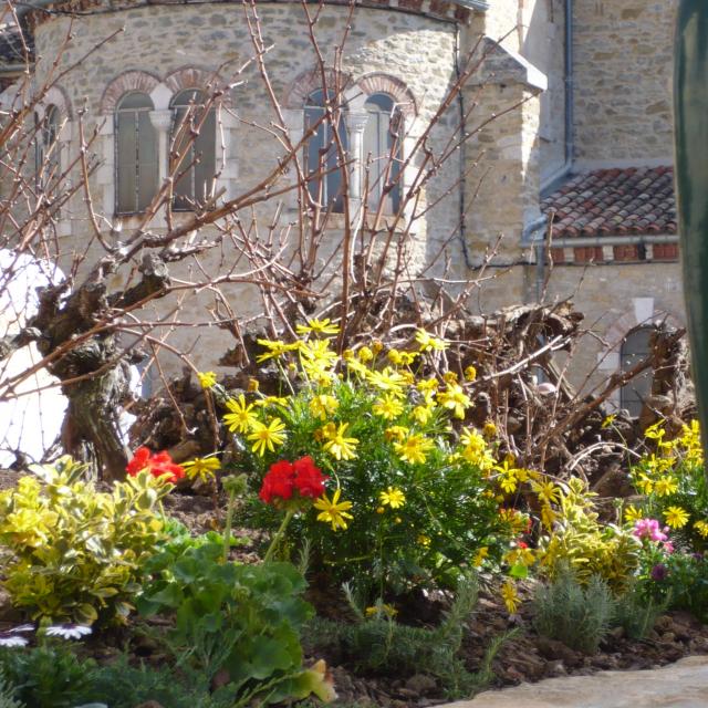 Eglise De L'assomption Limoux 2