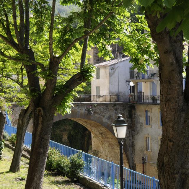 Jardin Du Docteur Paul Courent Rennes Les Bains Pcu 2011 ©jean Louis Socquet Juglard (2)