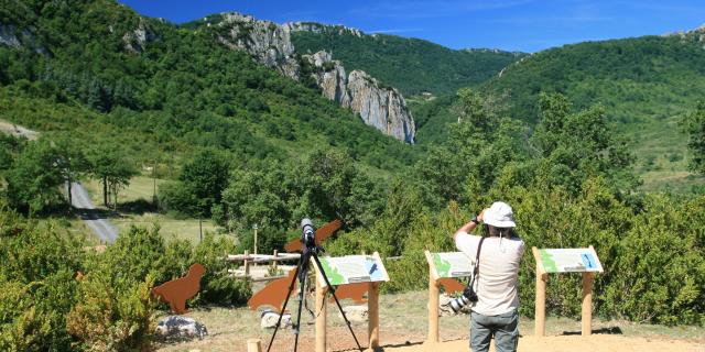 Observatoire Aux Vautours Touristes Buagarach