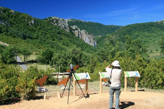 Observatoire Aux Vautours Touristes Buagarach