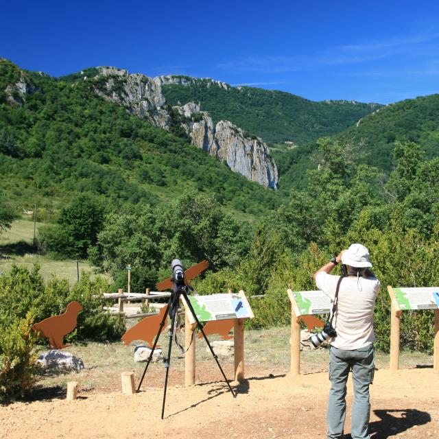 Observatorio turístico de buitres de Buagarach