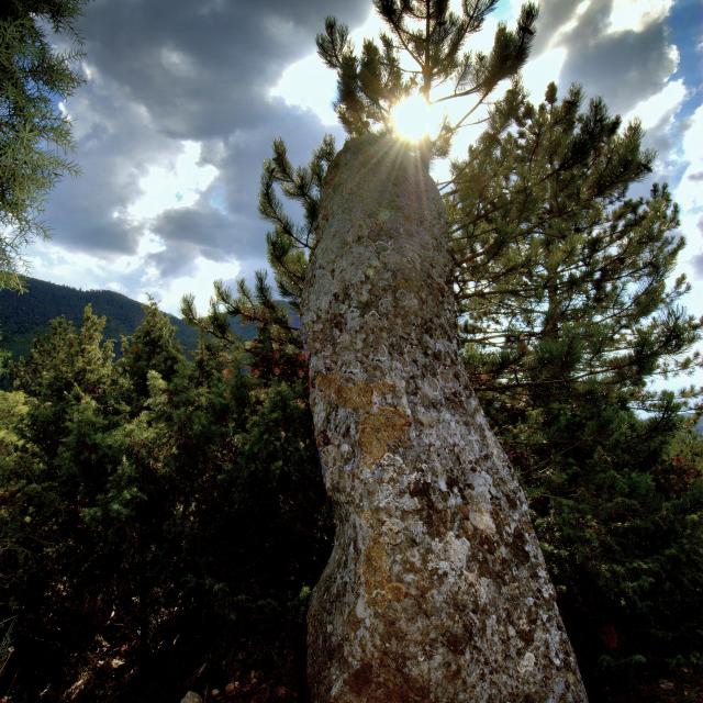 Menhir Peyrolles