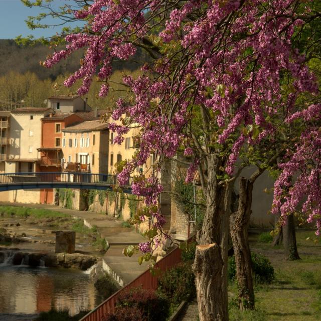 Río Sals Pueblo Rennes Les Bains