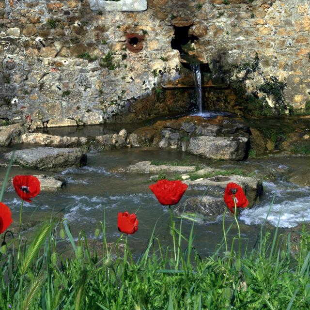 Fuente Bain Doux