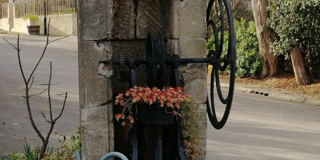 Bellegarde-du-Razès