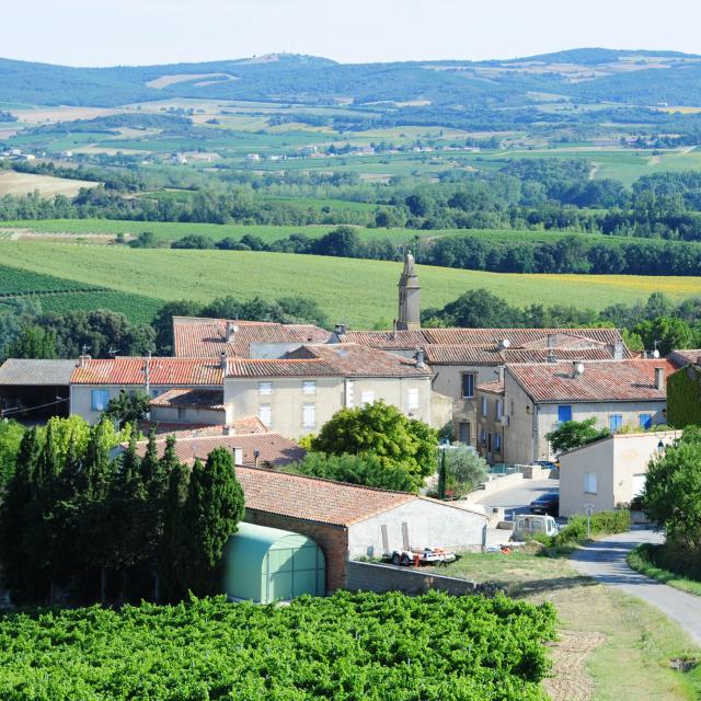 Gaja and Villedieu