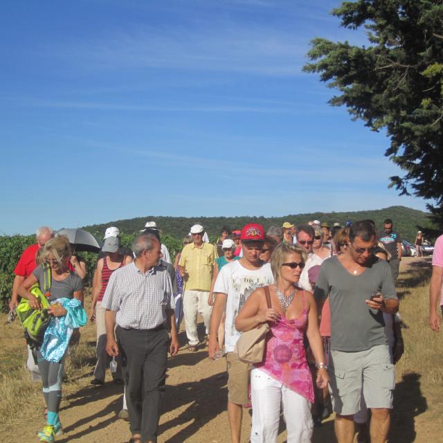 Activity Stroll Domaine De Fourn