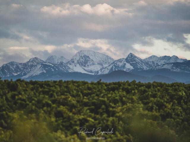 View Pyrenees Pna 2020 ©richard Capoulade (14)